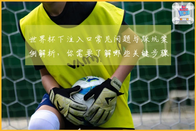 世界杯下注入口常见问题与踩坑案例解析，你需要了解哪些关键步骤？