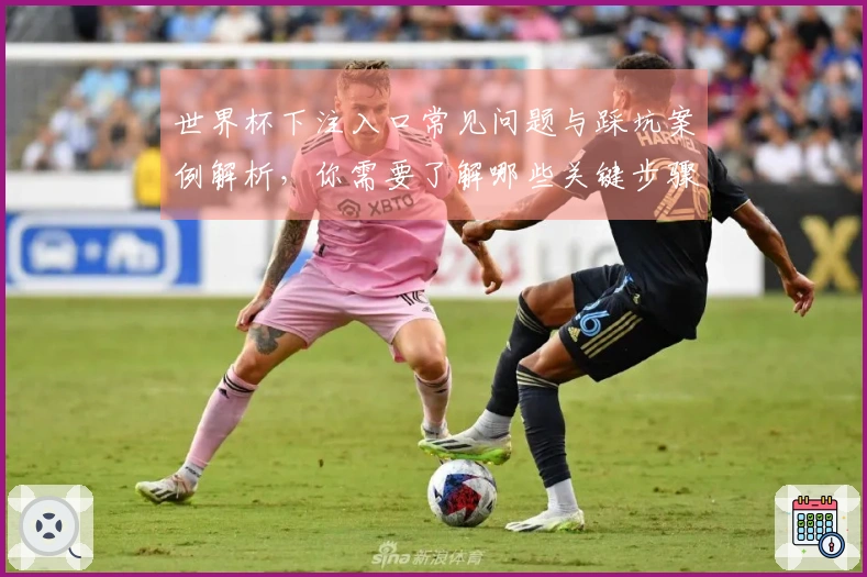 世界杯下注入口常见问题与踩坑案例解析，你需要了解哪些关键步骤？