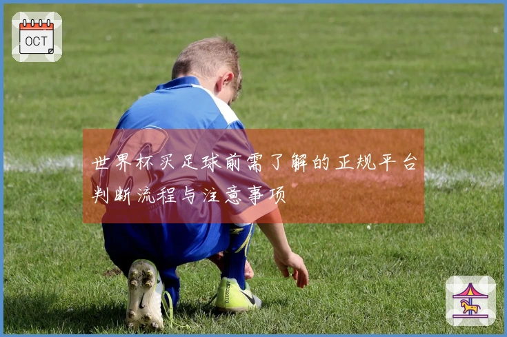 世界杯买足球前需了解的正规平台判断流程与注意事项