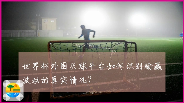 世界杯外围买球平台如何识别输赢波动的真实情况？